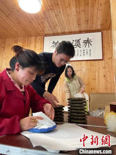 資料圖：杜贏(左二)在整理白茶餅?！×执阂?攝